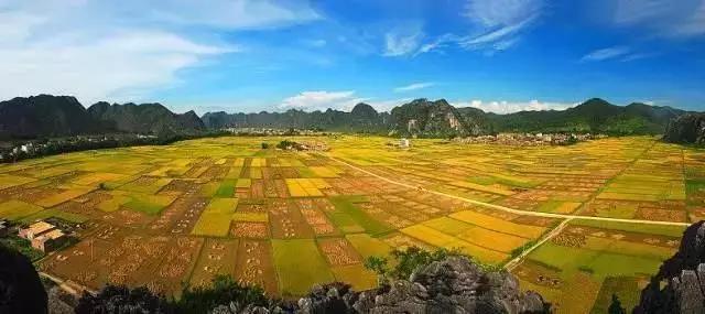 中國(guó)經(jīng)濟(jì)體制改革基金會(huì)全國(guó)第一！中國(guó)改革熱度第三方評(píng)估出爐，云浮宣傳系數(shù)在全國(guó)343個(gè)城市居首位                             