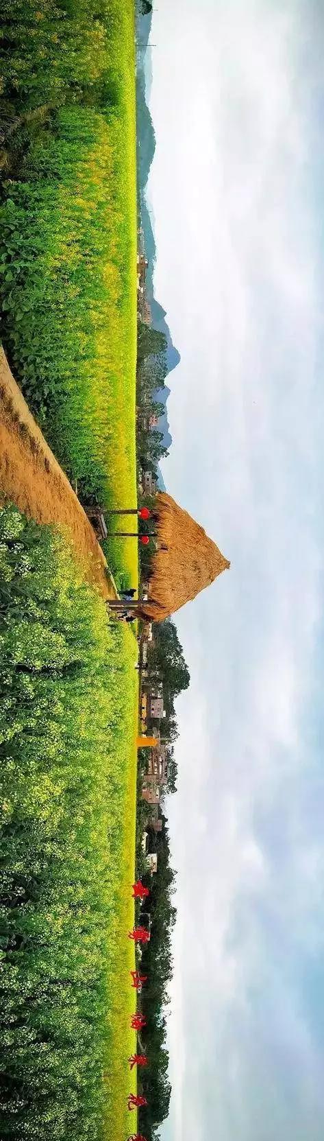 中國(guó)經(jīng)濟(jì)體制改革基金會(huì)全國(guó)第一！中國(guó)改革熱度第三方評(píng)估出爐，云浮宣傳系數(shù)在全國(guó)343個(gè)城市居首位                             